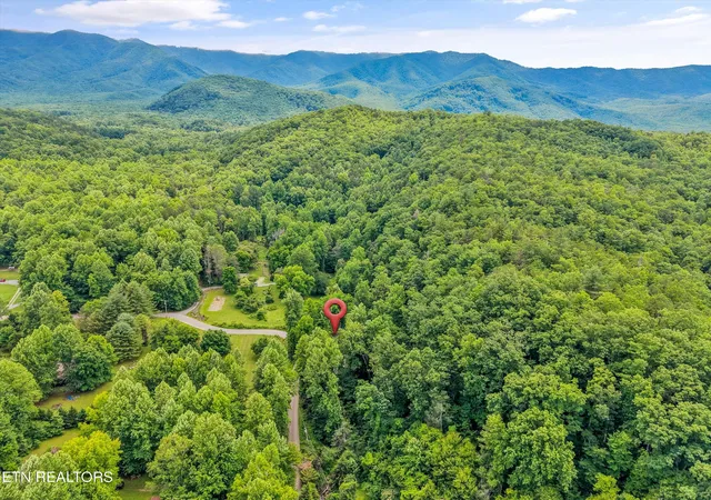 Homes for sale in Cosby, TN | 5236 Mathis Branch Rd, Cosby, TN 37722 | MLS# 1330644