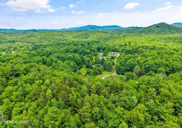 Homes for sale in Cosby, TN | 5236 Mathis Branch Rd, Cosby, TN 37722 | MLS# 1330644