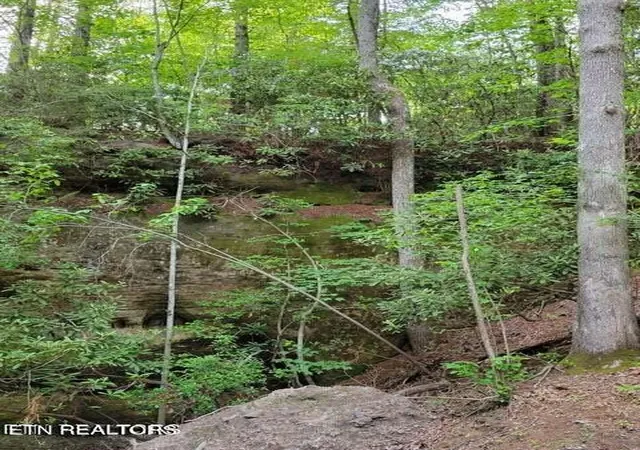 22nd image of 107 Walking Horse Dr, Jamestown, TN 38556 | MLS# 1330750