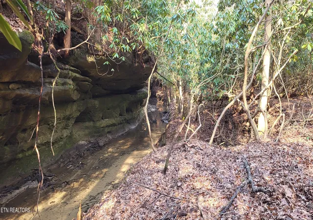 11th image of 2936 Leatherwood Ford Rd, Jamestown, TN 38556 | MLS# 1330931