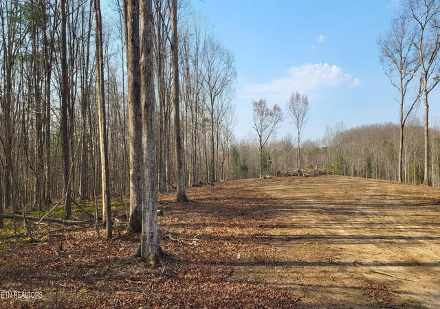 Photo 3 of Land for sale at 2936 Leatherwood Frd Rd, Jamestown, TN 38556 | MLS# 1330931 | Listing updated on 2026-09-08