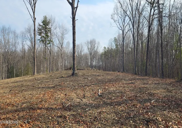 Photo 3 of Land for sale at 2936 Leatherwood Frd Rd, Jamestown, TN 38556 | MLS# 1330931 | Listing updated on 2026-09-08