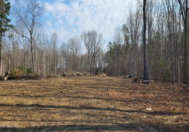 Photo 4 of Land for sale at 2936 Leatherwood Frd Rd, Jamestown, TN 38556 | MLS# 1330931 | Listing updated on 2026-09-08