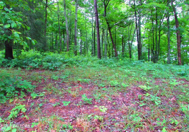 Photo 1 of Land for sale at Pinnacle Pointe Way, Sharps Chapel, TN 37866 | MLS# 1330771 | Listing updated on 2026-09-15