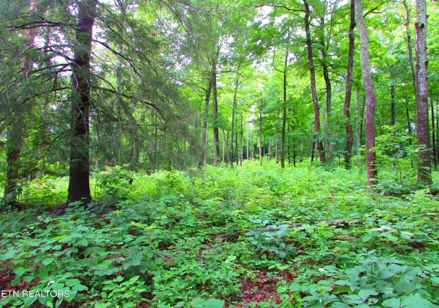 Photo 2 of Land for sale at Pinnacle Pointe Way, Sharps Chapel, TN 37866 | MLS# 1330771 | Listing updated on 2026-09-15