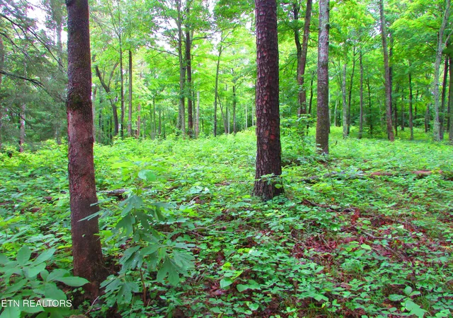 Photo 3 of Land for sale at Pinnacle Pointe Way, Sharps Chapel, TN 37866 | MLS# 1330771 | Listing updated on 2026-09-15