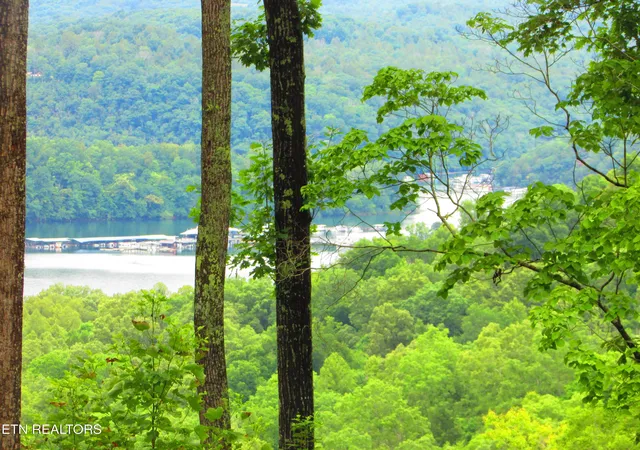 Photo 3 of Land for sale at Pinnacle Pointe Way, Sharps Chapel, TN 37866 | MLS# 1330771 | Listing updated on 2026-09-15