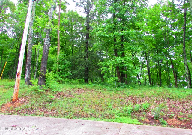 Photo 4 of Land for sale at Pinnacle Pointe Way, Sharps Chapel, TN 37866 | MLS# 1330771 | Listing updated on 2026-09-15