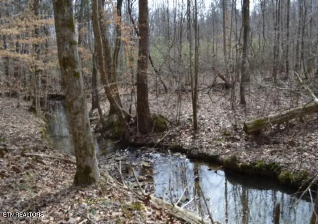 1st image of 87+/  Boles Rd Rd, Hilham, TN 38568 | MLS# 1330811