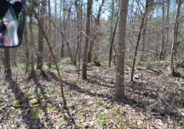 3rd image of 87+/- Boles Rd Rd, Hilham, TN 38568 | MLS# 1330811