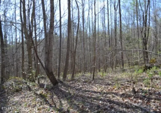 4th image of 87+/- Boles Rd Rd, Hilham, TN 38568 | MLS# 1330811