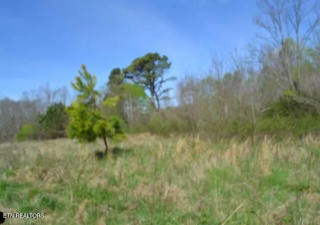 5th image of 87+/- Boles Rd Rd, Hilham, TN 38568 | MLS# 1330811