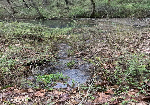 Photo 2 of Land for sale at 9 + 64 Ac Saga Ln, Knoxville, TN 37931 | MLS# 1331381 | Listing updated on 2026-09-02