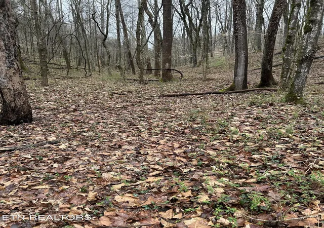 Photo 3 of Land for sale at 9 + 64 Ac Saga Ln, Knoxville, TN 37931 | MLS# 1331381 | Listing updated on 2026-09-02