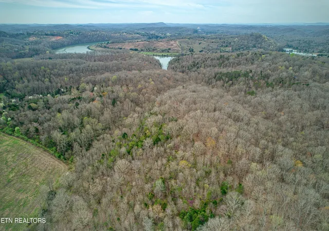 Photo 4 of Land for sale at 9 + 64 Ac Saga Ln, Knoxville, TN 37931 | MLS# 1331381 | Listing updated on 2026-09-02