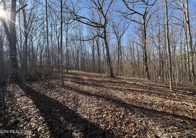 2nd image of 1453 Ac Pickett Park Hwy, Jamestown, TN 38556 | MLS# 1330998