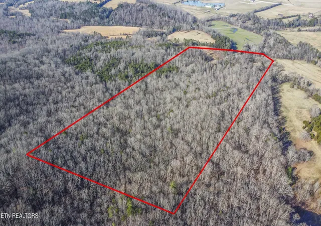 51st image of 959 Sherman Ln, Ten Mile, TN 37880 | MLS# 1331161