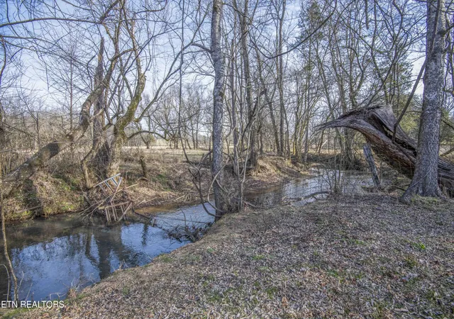 Photo 4 of Land for sale at 259 Shearman Rd, Ten Mile, TN 37880 | MLS# 1331161 | Listing updated on 2026-08-19