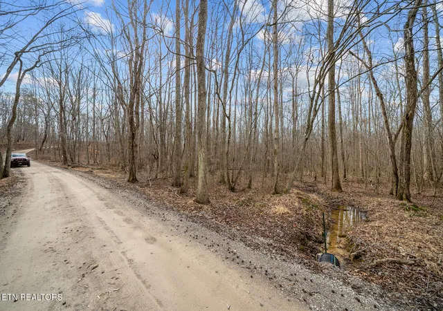 Photo 3 of Land for sale at 20 Acres Barbee Cemetery Rd, Evensville, TN 37332 | MLS# 1331176 | Listing updated on 2026-09-16