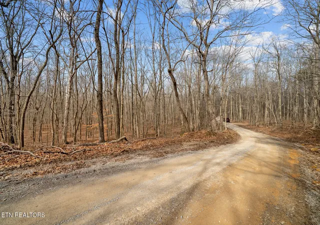 Photo 4 of Land for sale at 20 Acres Barbee Cemetery Rd, Evensville, TN 37332 | MLS# 1331176 | Listing updated on 2026-09-16
