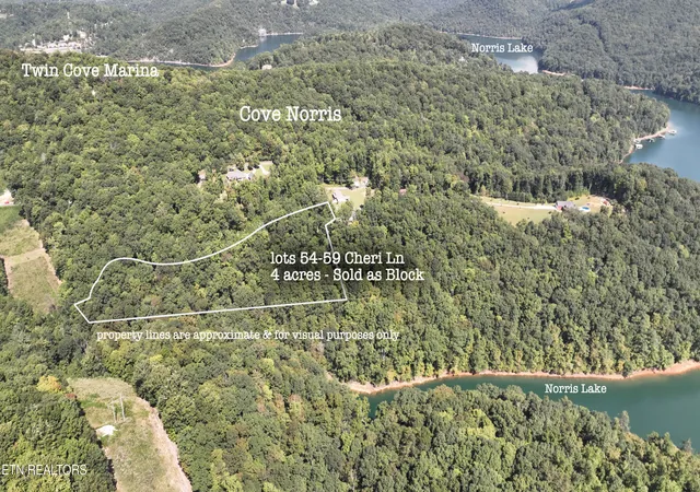Photo 2 of Land for sale at Lot 54 59 Cheri Ln, Caryville, TN 37714 | MLS# 1331289 | Listing updated on 2026-03-04