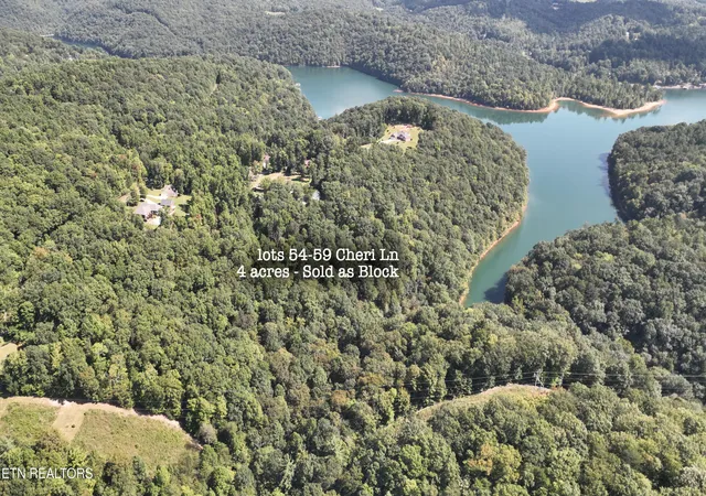 Photo 3 of Land for sale at Lot 54 59 Cheri Ln, Caryville, TN 37714 | MLS# 1331289 | Listing updated on 2026-03-04