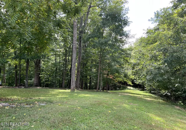 Photo 4 of Land for sale at Lot 54-59 Cheri Ln, Caryville, TN 37714 | MLS# 1331289 | Listing updated on 2026-03-04