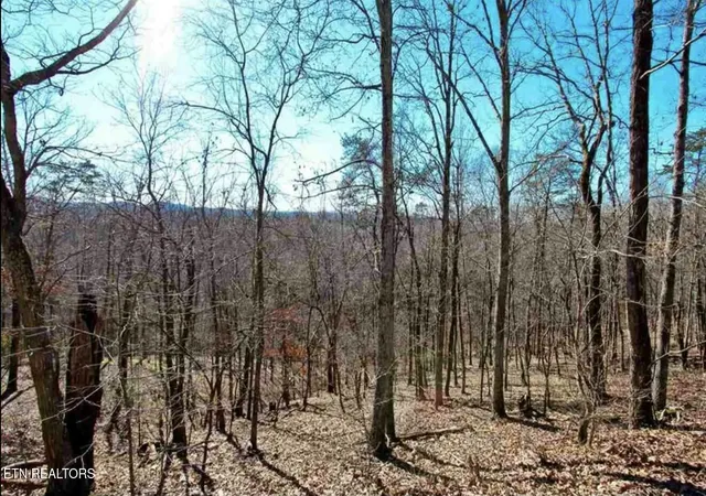 Homes for sale in Mooresburg, TN | 1410 Echota Ln, Mooresburg, TN 37811 | MLS# 1331300