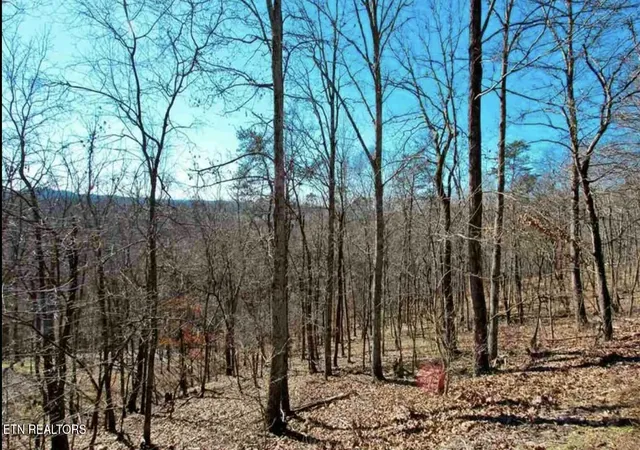 Homes for sale in Mooresburg, TN | 1410 Echota Ln, Mooresburg, TN 37811 | MLS# 1331300