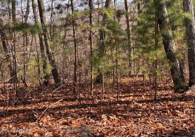 4th image of English Springs Wy, Newport, TN 37821 | MLS# 1339467