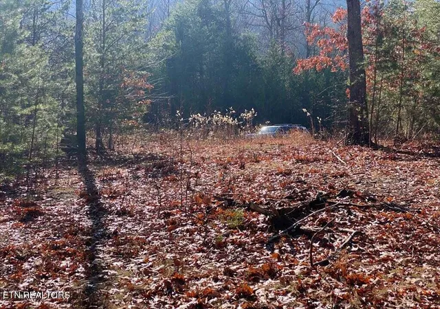 5th image of English Springs Wy, Newport, TN 37821 | MLS# 1339467