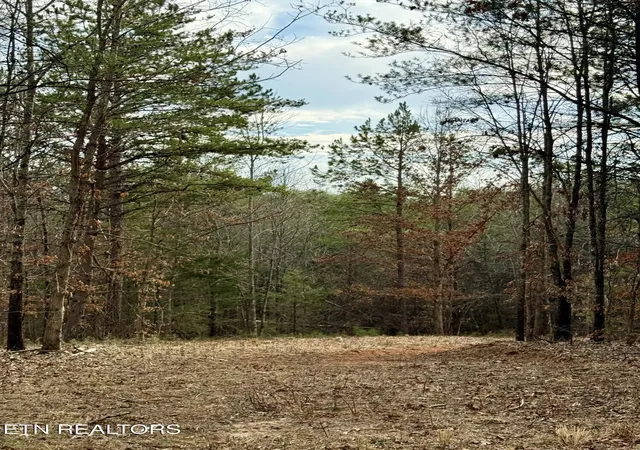 3rd image of Lots 8 & 9 Curtis Rd, Tellico Plains, TN 37385 | MLS# 1331435