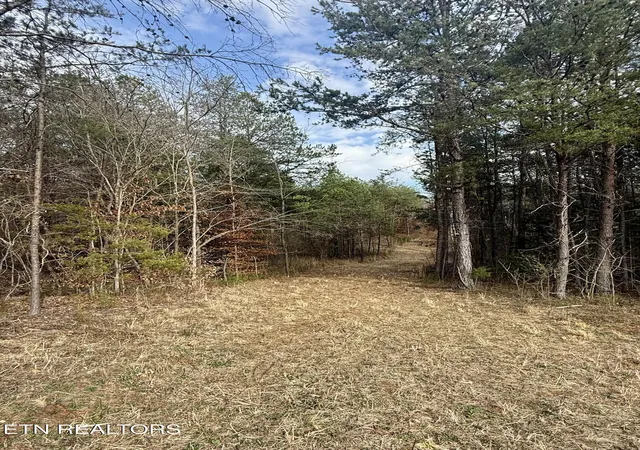 4th image of Lots 8 & 9 Curtis Rd, Tellico Plains, TN 37385 | MLS# 1331435