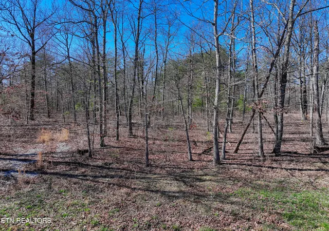 Homes for sale in Pikeville, TN | 0 Gray Rock View View #247, Pikeville, TN 37367 | MLS# 1331825