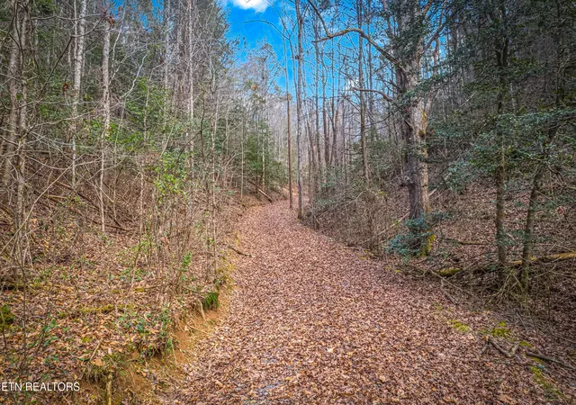 3rd image of Boogertown Rd, Sevierville, TN 37876 | MLS# 1331879