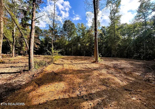 1st image of 55 Acres Pleasant Hill Rd, Ten Mile, TN 37880 | MLS# 1331895