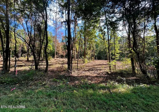 2nd image of 55 Acres Pleasant Hill Rd, Ten Mile, TN 37880 | MLS# 1331895