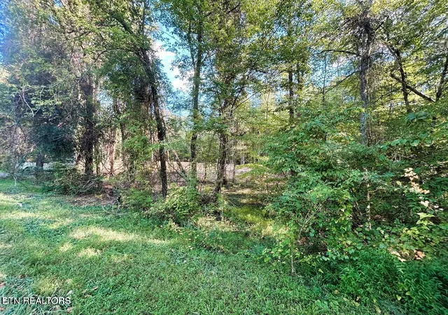 5th image of 55 Acres Pleasant Hill Rd, Ten Mile, TN 37880 | MLS# 1331895