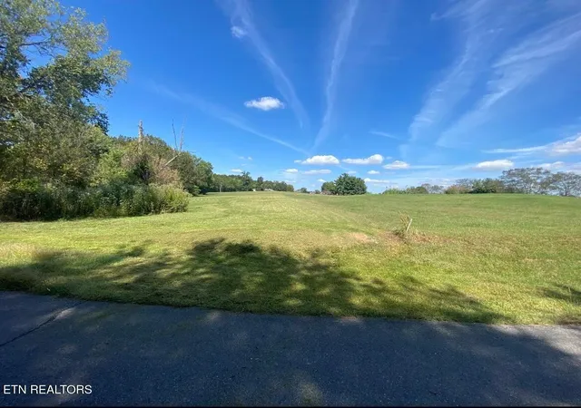 Homes for sale in Baneberry, TN | Mountain View Ln, Baneberry, TN 37890 | MLS# 1331950