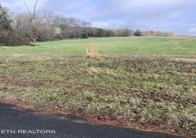 Homes for sale in Baneberry, TN | Mountain View Ln, Baneberry, TN 37890 | MLS# 1331950