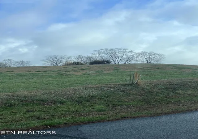 Homes for sale in Baneberry, TN | Mountain View Ln, Baneberry, TN 37890 | MLS# 1331950