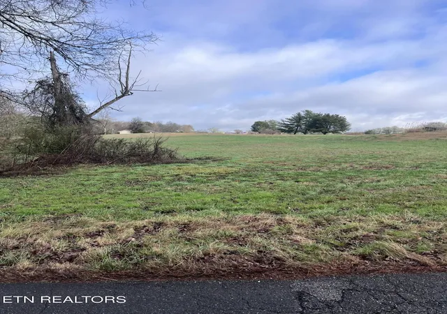 Homes for sale in Baneberry, TN | Mountain View Ln, Baneberry, TN 37890 | MLS# 1331950