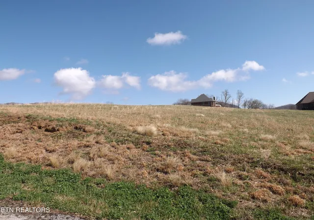 Homes for sale in Speedwell, TN | Lot 32/33 Canary Ln, Speedwell, TN 37870 | MLS# 1331969