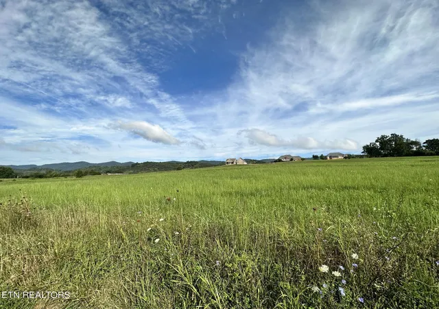 Homes for sale in Speedwell, TN | Lot 13 Bluebird Ln, Speedwell, TN 37870 | MLS# 1332091