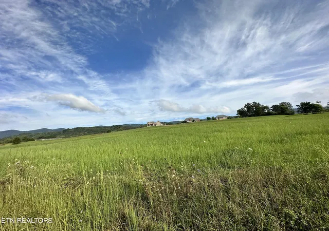 Photo 3 of Land for sale at Lot 13 Bluebird Ln, Speedwell, TN 37870 | MLS# 1332091 | Listing updated on 2026-03-10