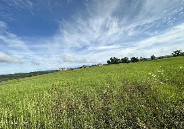Homes for sale in Speedwell, TN | Lot 13 Bluebird Ln, Speedwell, TN 37870 | MLS# 1332091