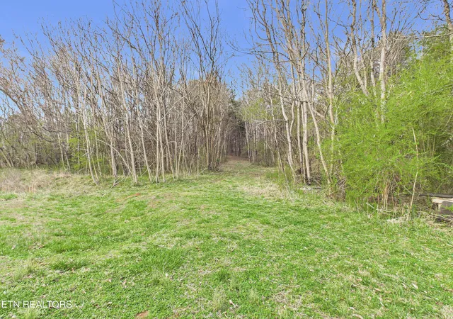 5th image of 325 Countryside Ln, Madisonville, TN 37354 | MLS# 1332722
