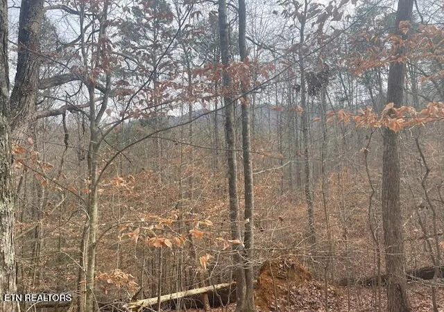 2nd image of 1008 Blair Loop Rd, Walland, TN 37886 | MLS# 1332181