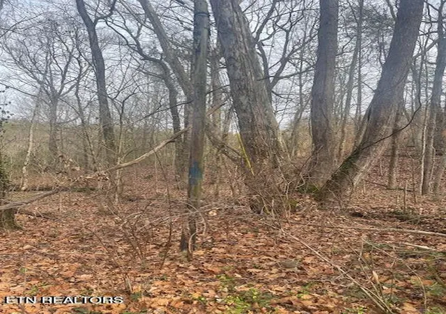 3rd image of 1008 Blair Loop Rd, Walland, TN 37886 | MLS# 1332181