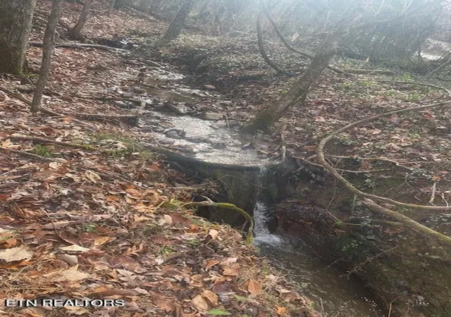 4th image of 1008 Blair Loop Rd, Walland, TN 37886 | MLS# 1332181